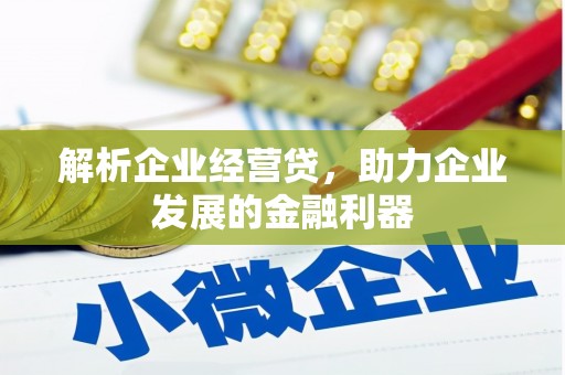 西夏解析企业经营贷，助力企业发展的金融利器