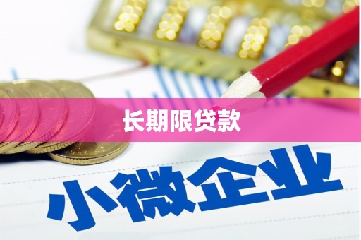 西夏长期限贷款