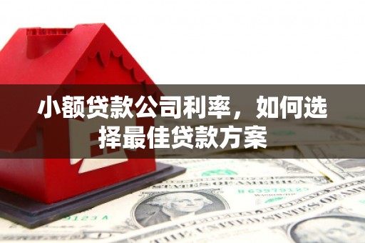 西夏小额贷款公司利率，如何选择最佳贷款方案