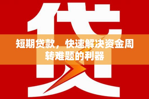 西夏短期贷款，快速解决资金周转难题的利器