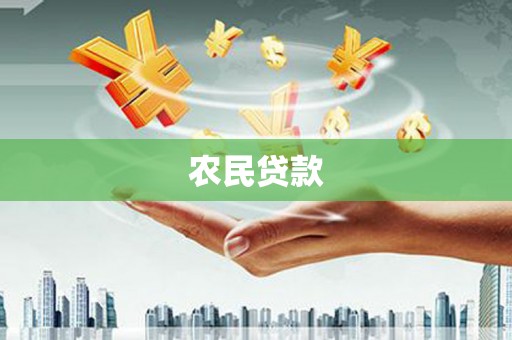 西夏农民贷款