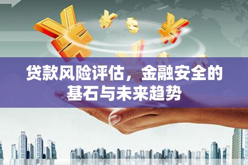 西夏贷款风险评估，金融安全的基石与未来趋势