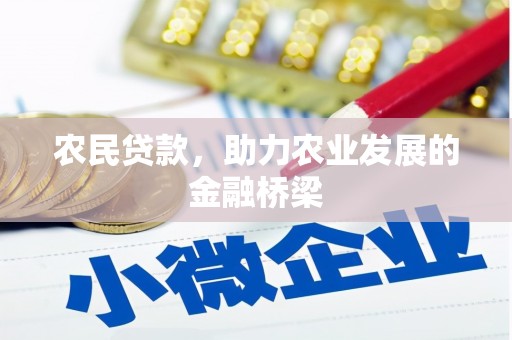 西夏农民贷款，助力农业发展的金融桥梁