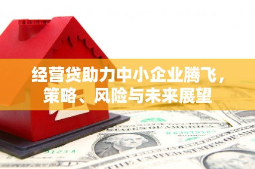 西夏经营贷助力中小企业腾飞，策略、风险与未来展望