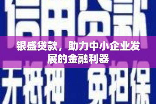 西夏银盛贷款，助力中小企业发展的金融利器