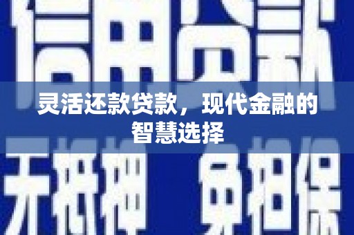 西夏灵活还款贷款，现代金融的智慧选择