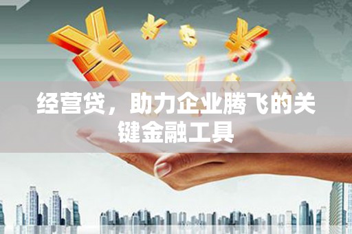 西夏经营贷，助力企业腾飞的关键金融工具