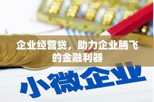西夏企业经营贷，助力企业腾飞的金融利器