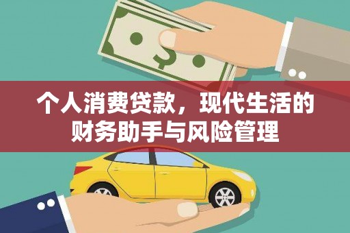 西夏个人消费贷款，现代生活的财务助手与风险管理