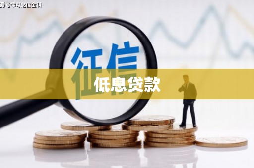 西夏低息贷款