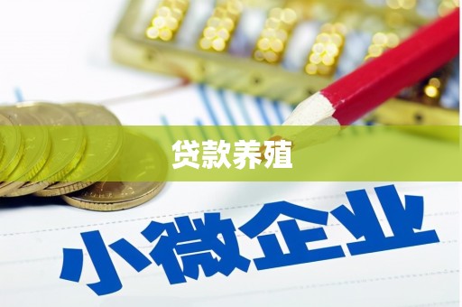 西夏贷款养殖