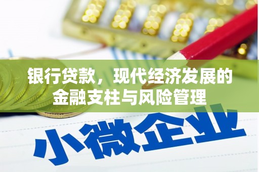 西夏银行贷款，现代经济发展的金融支柱与风险管理