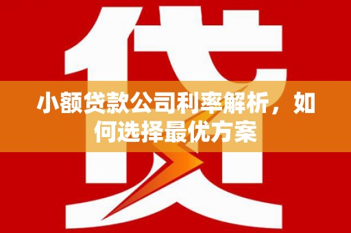 西夏小额贷款公司利率解析，如何选择最优方案