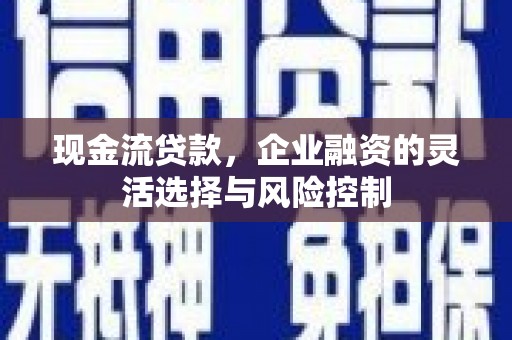 西夏现金流贷款，企业融资的灵活选择与风险控制