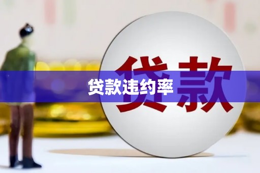 西夏贷款违约率