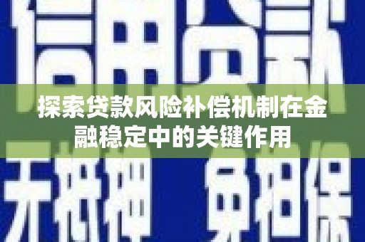 西夏探索贷款风险补偿机制在金融稳定中的关键作用