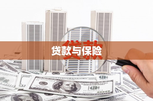 西夏贷款与保险