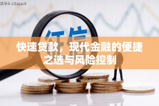 西夏快速贷款，现代金融的便捷之选与风险控制