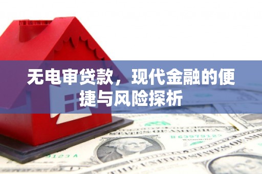 西夏无电审贷款，现代金融的便捷与风险探析
