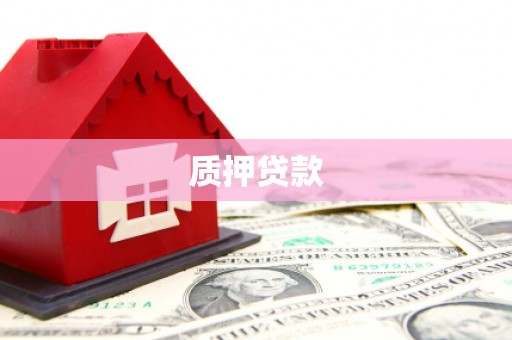 西夏质押贷款
