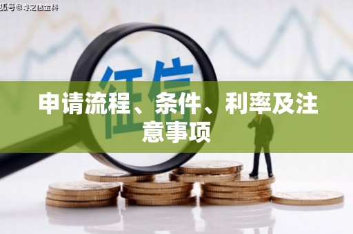 西夏申请流程、条件、利率及注意事项