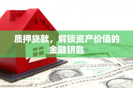 西夏质押贷款，解锁资产价值的金融钥匙