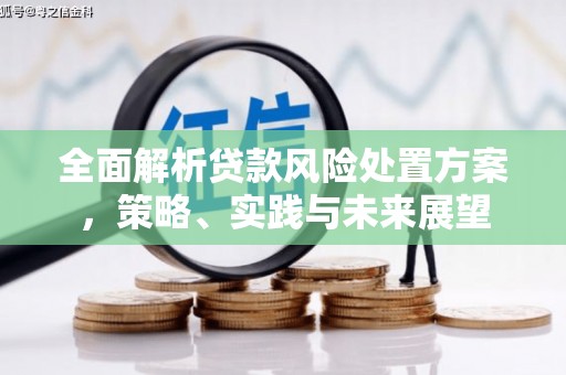 西夏全面解析贷款风险处置方案，策略、实践与未来展望