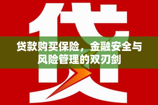 西夏贷款购买保险，金融安全与风险管理的双刃剑