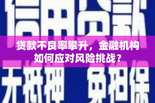 西夏贷款不良率攀升，金融机构如何应对风险挑战？
