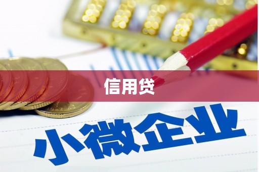 西夏信用贷