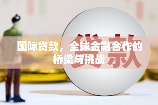 西夏国际贷款，全球金融合作的桥梁与挑战