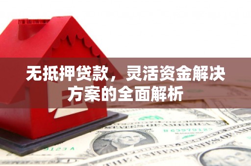 西夏无抵押贷款，灵活资金解决方案的全面解析