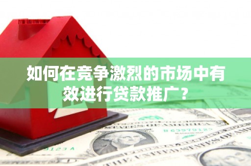 西夏如何在竞争激烈的市场中有效进行贷款推广？