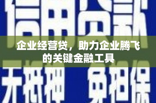 西夏企业经营贷，助力企业腾飞的关键金融工具