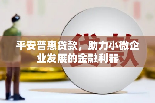 西夏平安普惠贷款，助力小微企业发展的金融利器
