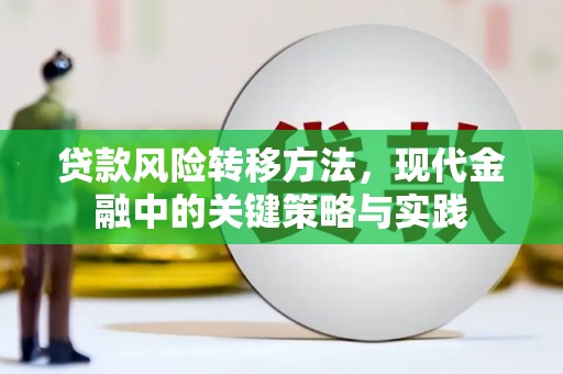 西夏贷款风险转移方法，现代金融中的关键策略与实践