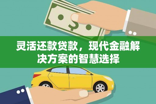 西夏灵活还款贷款，现代金融解决方案的智慧选择