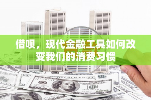 西夏借呗，现代金融工具如何改变我们的消费习惯