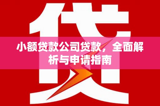 西夏小额贷款公司贷款，全面解析与申请指南