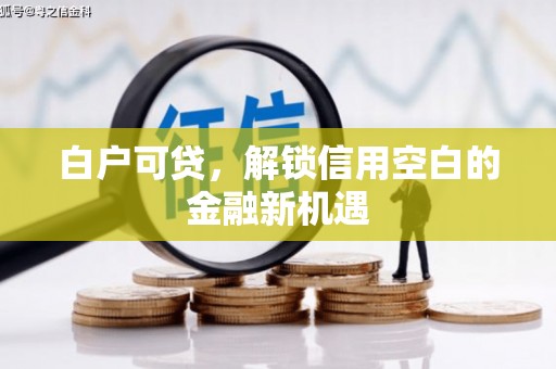西夏白户可贷，解锁信用空白的金融新机遇