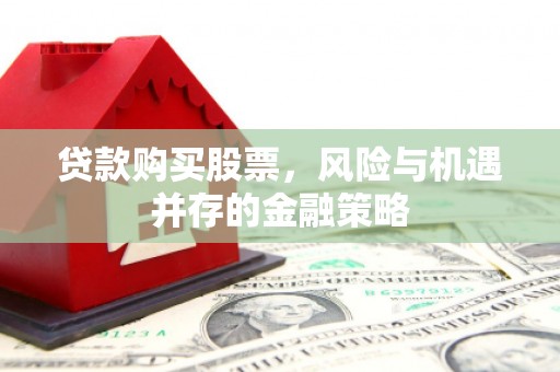 西夏贷款购买股票，风险与机遇并存的金融策略