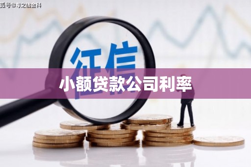 西夏小额贷款公司利率