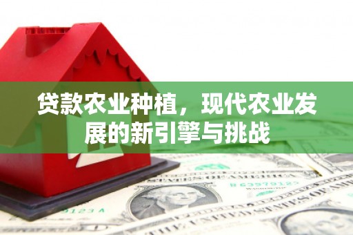 西夏贷款农业种植，现代农业发展的新引擎与挑战