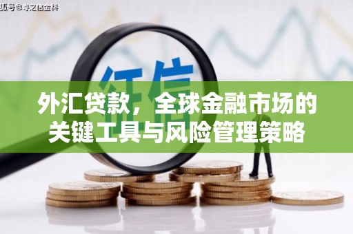 西夏外汇贷款，全球金融市场的关键工具与风险管理策略