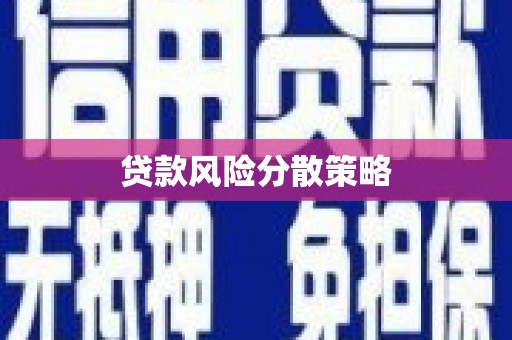 西夏贷款风险分散策略