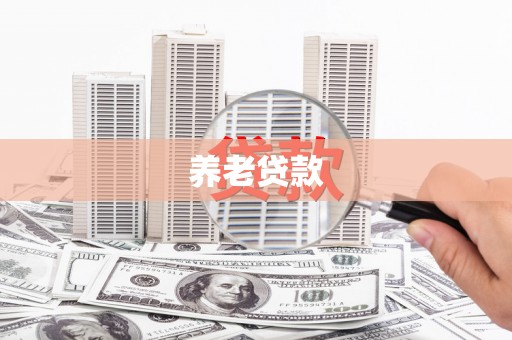 西夏养老贷款