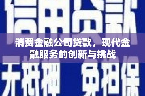 西夏消费金融公司贷款，现代金融服务的创新与挑战