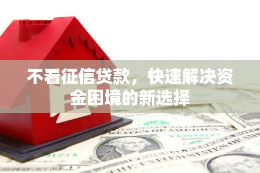 西夏不看征信贷款，快速解决资金困境的新选择
