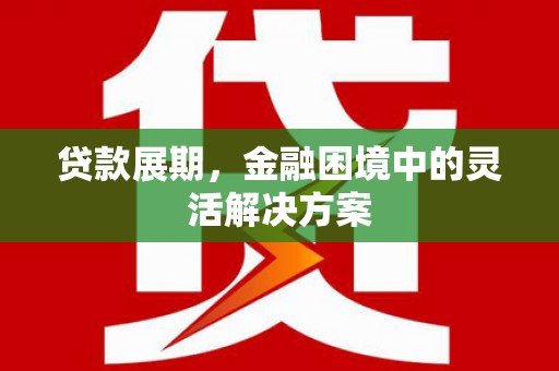 西夏贷款展期，金融困境中的灵活解决方案