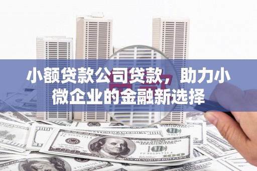 西夏小额贷款公司贷款，助力小微企业的金融新选择